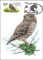 CM/MK - DUOSTAMP/MYSTAMP° - Chouette Chevêche/Kleine Uil/Kleine Eule/Little Owl - BUZIN - CACHET DOS/STEMP ACHTER - Briefe U. Dokumente