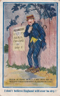 UR Nw45- I DON'T BELIEVE ENGLAND WILL EVER BE DRY - HOMME SE PROTEGEANT DE LA PLUIE - ILLUSTRATEUR DONALD MAC GILL - Mc Gill, Donald