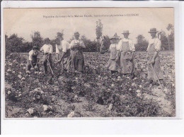 CLISSON: Pépinière De Rosiers De La Maison Dande, Horticulture-pépiniériste - Très Bon état - Clisson