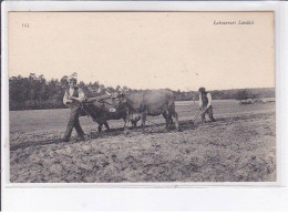 LANDES: Laboureurs - Très Bon état - Other & Unclassified