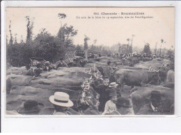 ROUMAZIERES: Un Coin De La Foire Du 19 Septembre, Dite Du Pont-sigoulant, 1er Tirage - Très Bon état - Other & Unclassified