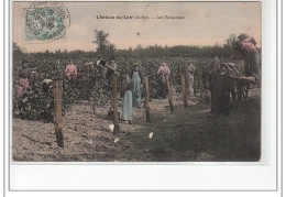 CHATEAU DU LOIR - Les Vendanges - état - Chateau Du Loir