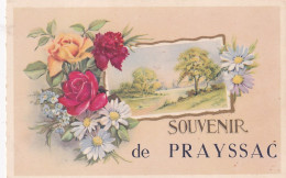 VE Nw-(46) SOUVENIR DE PRAYSSAC - CARTE FANTAISIE - Other & Unclassified