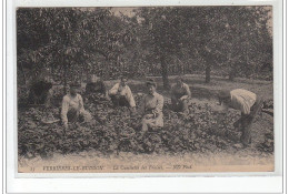 VERRIERES LE BUISSON : La Cueillette Des Fraises - Très Bon état - Verrieres Le Buisson