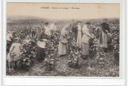 CHABLIS : Travaux De La Vigne - L'écoulage (vendanges) - Très Bon état - Chablis