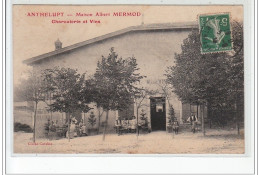 ANTHELUPT : Charcuterie Et Vins Albert MERMOD - Très Bon état - Other & Unclassified