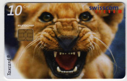 Suisse Taxcard 10CHF Lion - Svizzera