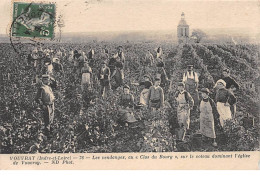 VOUVRAY - Les Vendanges Au " Clos Du Bourg " Sur Le Coteau Dominant L'Eglise De Vouvray - Très Bon état - Vouvray