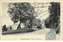 RONQUEROLLES - Route De Renonval - Très Bon état - Other & Unclassified