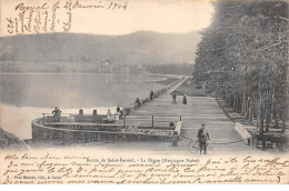 Bassin De SAINT FERREOL - La Digue - Très Bon état - Autres & Non Classés