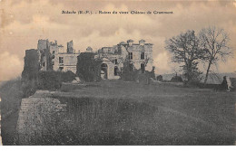 BIDACHE - Ruines Du Vieux Château De Grammont - Très Bon état - Bidache