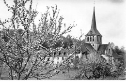 SAINT HIMER - L'Eglise - Très Bon état - Other & Unclassified