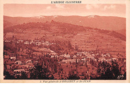 Vue Générale D'ORGIBET Et SAINT JEAN - Très Bon état - Autres & Non Classés