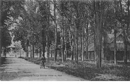 SOISSONS - La Grande Allée Du Mail - Très Bon état - Soissons