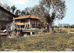 DOMSURE - Le Pont Et Le Moulin De Leschaux - Très Bon état - Non Classés