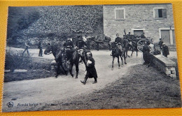 MILITARIA -  ARMEE BELGE - BELGISCH LEGER -  Etat Major D'un Régiment De Ligne - Manoeuvres