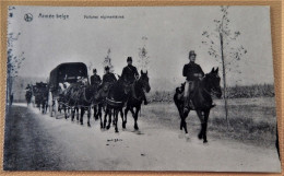 MILITARIA - ARMEE BELGE - BELGISCH LEGER -  Voitures Régimentaires - Manoeuvres