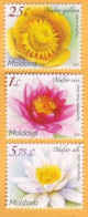 2019 Moldova Moldavie  Flora, Flowers, Water Lilies. Nature  3v Mint - Moldavie