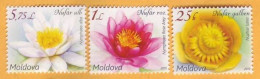 2019 Moldova Moldavie  Flora, Flowers, Water Lilies. Nature  3v Mint - Orchideeën