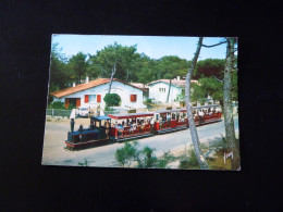 LE BASSIN D'ARCACHON   LE PETIT TRAIN DU CAP FERRET - Arcachon