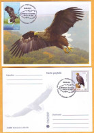 2021 Moldova Moldavie Romania Maxicard ”The Lower Prut Biosphere Reserve 30th Foundation Annivers" Birds, Eagle - Cranes And Other Gruiformes