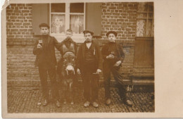 Carte Photo  ( Enfant Sur Un âne Avec Jeunes Adultes Avec Chopes ) - Donkeys