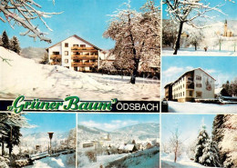 73707678 Oedsbach Hotel Pension Gruener Baum Teilansichten Panorama Oedsbach - Oberkirch