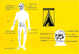 ITALIA ITALY - 1985 TORINO Mostra "i Primi Abitanti Europei" - Cranio Del Primo Uomo Italico Su Cartolina Speciale - 82 - 1981-90: Poststempel
