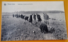 MILITARIA -  ARMEE BELGE - BELGISCH LEGER -  Carabiniers Creusant Une Tranchée - Manoeuvres