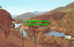 R551803 Loch Beneveian. Glen Affric. Inverness Shire. PT35544 - Welt