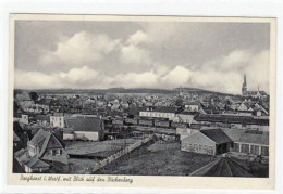 39063506 - Borghorst Mit Blick Auf Den Buchenberg Gelaufen, Mit Marke Und Stempel Von 1957. Gute Erhaltung. - Ibbenbüren