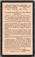 Bidprentje Lebbeke - De Wolf Catherina Sylvie (1841-1927) - Devotieprenten