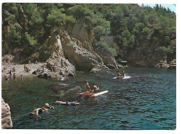 UN RINCON DE LA COSTA / A CORNER OF THE COAST.-  COSTA BRAVA - GIRONA - ( CATALUNYA ) - Gerona