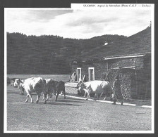 1980  --  BELGIQUE . CUGNON . ASPECT DE MORTEBAN . 4B021 - Ohne Zuordnung