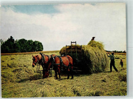 39749906 - Freiberger Pferde Am Erntewagen Stiftung Fuer Das Pferd - Sonstige & Ohne Zuordnung