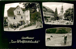 73706310 Erbach Odenwald Gasthaus Zur Wolfsschlucht Marktplatz Wildpark Erbach O - Erbach