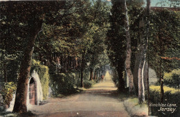 D51. Vintage Postcard. Vinchlez Lane, Jersey. Channel Islands - Andere & Zonder Classificatie