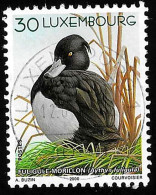 2000 Ducks Michel LU 1505 Stamp Number LU 1033 Yvert Et Tellier LU 1455 Stanley Gibbons LU 1538 Used - Gebruikt