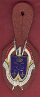 ** INSIGNE  1er  REGIMENT  DRAGON  +  ECUSSON ** - Armée De Terre