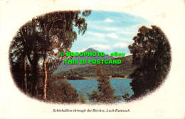 R551997 Schiehallion Through Birches. Loch Rannoch. Colourmaster International. - World