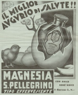 Magnesia San Pellegrino - Pubblicità Grande Formato Del 1933 - Old Advert - Publicités