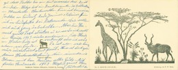 13816906 - Sign. F. Reitz Giraffe Und Kudu Serie Nr. 8 Kiepersol Klappkarte Neujahr Weihnachten - South Africa