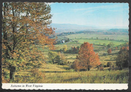 West Virginia, Canaan Valley, Autumn, Unused - Sonstige & Ohne Zuordnung