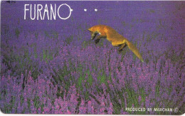 Japan Tamura 50u Old Private 110 - 016 Furano Fox Animal Flowers Field - Japan