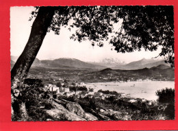 18622  AJACCIO Panorama Sur Le Golfe       (2 Scans ) 20 Corse - Ajaccio