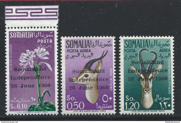 1965 SOMALIA - YT N° 1 + PA 1/2  3 Valori  **/MNH - Autres - Afrique