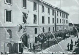 Ao615 Cartolina Catanzaro Citta' Entrata Villa Trieste E Legione Carabinieri - Catanzaro