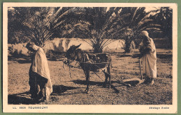 CPA Vue Peu Courante - ALGÉRIE - TOUGGOURT - ATTELAGE ARABE- Belle Animation De Labour Avec Un âne - Professions