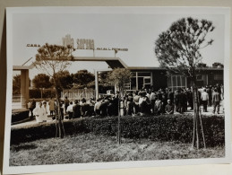 Italia Foto CITTA' SANT'ANGELO (Pescara) Autorità Ministro Natali Inaugurazioni Festeggiamenti 1970. Da Identificare - Europe