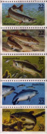 1986 22 Cents Fish, Booklet Pane Of 5, MNH - Neufs